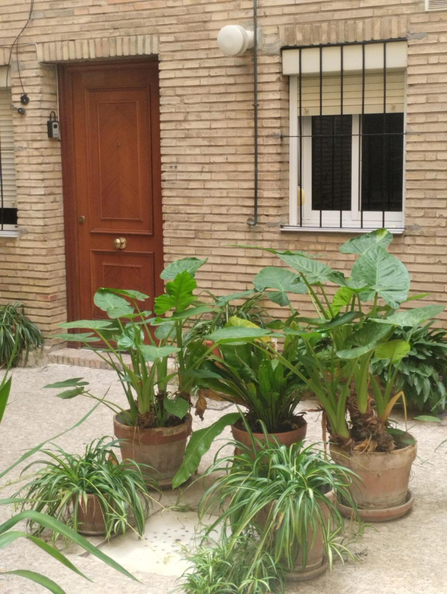 La Casa De Pepa Apartment Sevilla Bagian luar foto