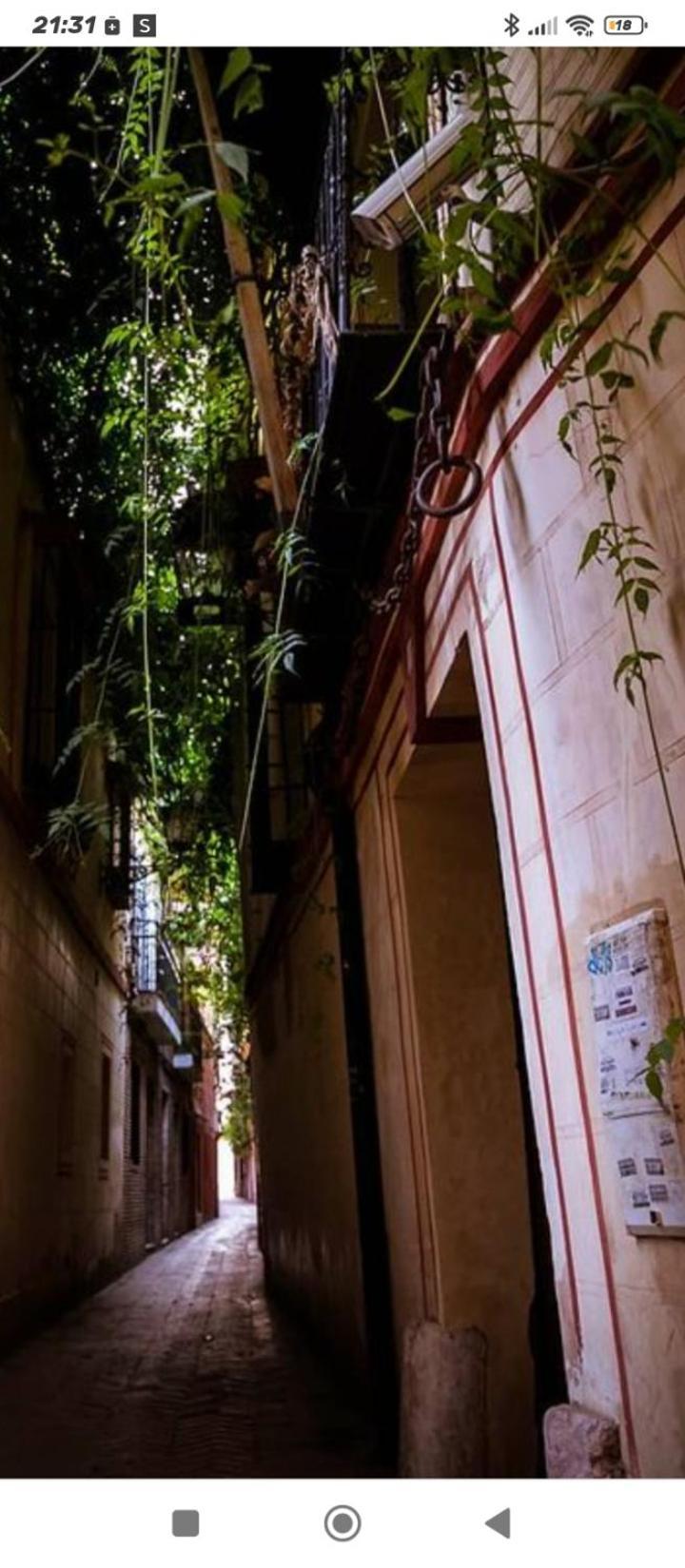 La Casa De Pepa Apartment Sevilla Bagian luar foto